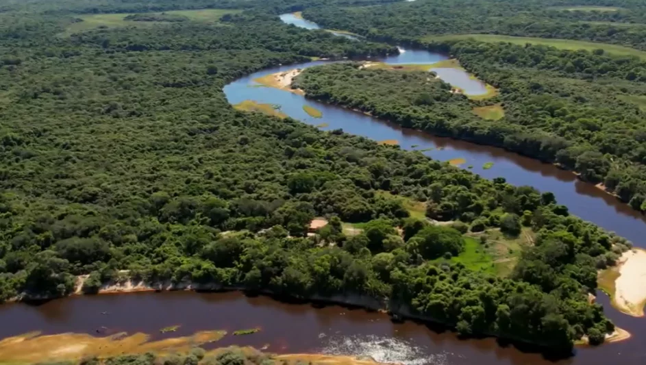 MATO GROSSO DO SUL - Desmembrou-se de Mato Grosso em 1977.