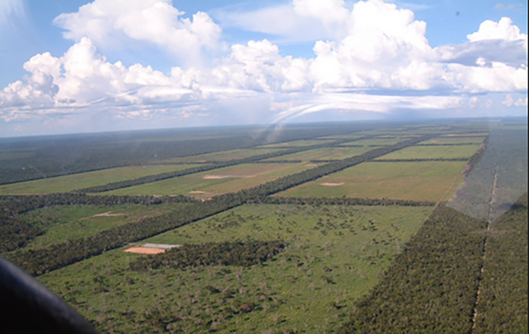 O Chaco tem grande variedade de ecossistemas. E o próprio nome se origina de 