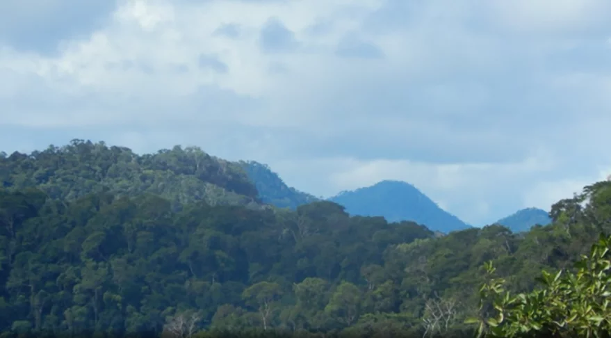  No local fica o Parque Nacional da Serra do Divisor, unidade de conservação que se espalha pelos municípios de Cruzeiro do Sul, Mâncio Lima, Marechal Thaumaturgo, Porto Walter e Rodrigues Alves. O ponto mais elevado da cordilheira tem 609m de altitude. 