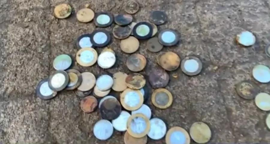 Havia moedas de diversos valores e de vários países. Muitas já deterioradas. As que puderam ser aproveitadas valeram, ao todo, R$ 3 mil. E esse valor foi destinado à compra de mudas da Mata Atlântica.