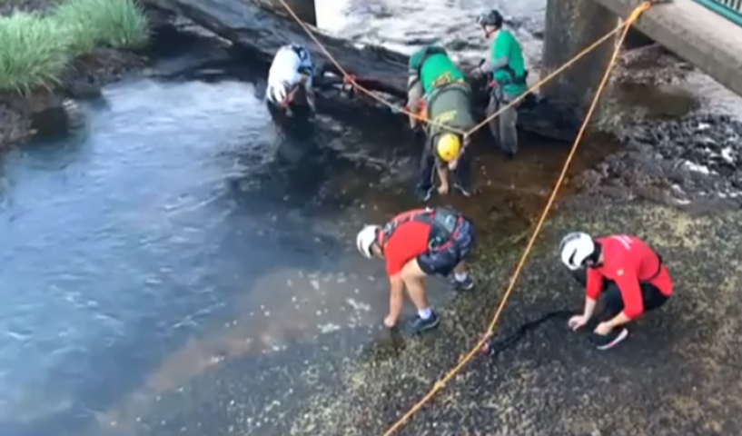 A operação, com uso de rapel, foi realizada porque as moedas são consideradas nocivas ao meio ambiente. A administração do parque e órgãos ambientais alertam que não se deve jogar moedas por que elas liberam metais pesados que prejudicam plantas e animais. 