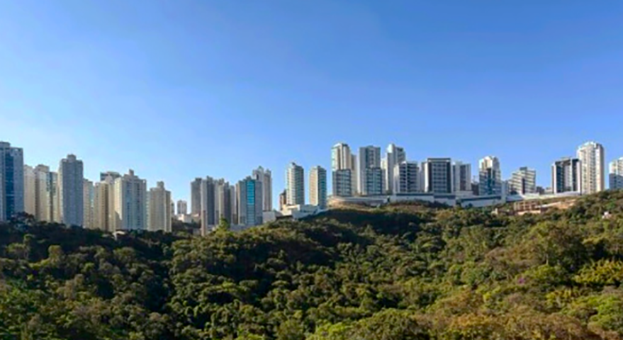 A área onde a onça-parda apareceu se chama Vila da Serra. Um bairro luxuoso no limite com Belo Horizonte, ele dá vista para as montanhas, o que, teoricamente, valoriza o bairro, repleto de condomínios do tipo resort e casas de alto padrão. 