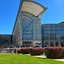 Construções transparentes matam pássaros durante voo - Reprodução / Instagram / @mccormickplace