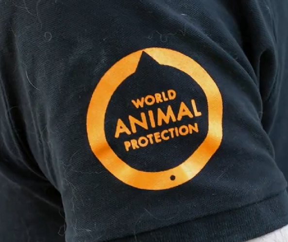 O Brasil também enfrenta um problema de desigualdade no que diz respeito ao número de ONGs. A maior parte delas (45%) está no sudeste.