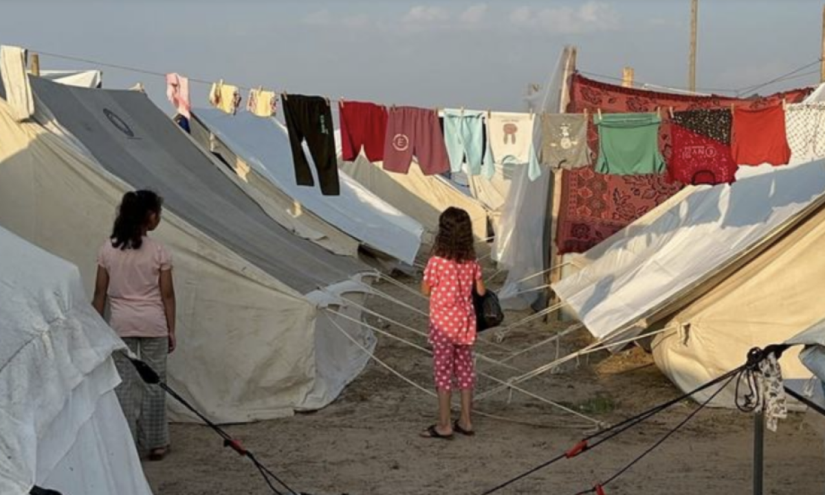 Universidades brasileiras selecionam 48 refugiados palestinos para estudar no Brasil -  (crédito: Platobr)