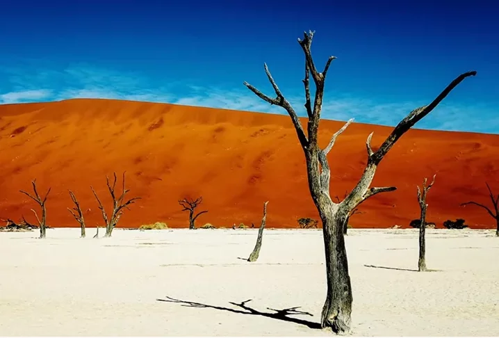  Deadvlei (Namíbia) - Bacia de argila branca localizada no Parque Namib-Naukluft. Tem as maiores dunas do mundo. A Big Daddy alcança incríveis 400 metros de altura. A paisagem parece pintura porque, contrastando com a argila branca, ficam dunas em tom laranja, árvores espinho de camelo petrificadas e o céu de um azul bem vibrante. 