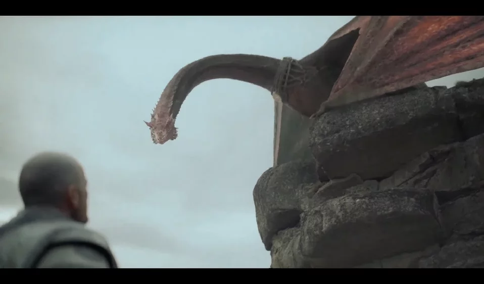 Caraxes - Começando pela “Casa do Dragão”, Caraxes já é um dos dragões mais marcantes da série. Ele pertence ao Daemon Targaryen(Matt Smith), tem como características as escamas avermelhadas e o corpo esguio.