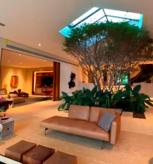 E o item valioso na sala de estar da empresária parece só um detalhe quando se nota uma árvore jabuticabeira no centro do cômodo! -reprodução youtube