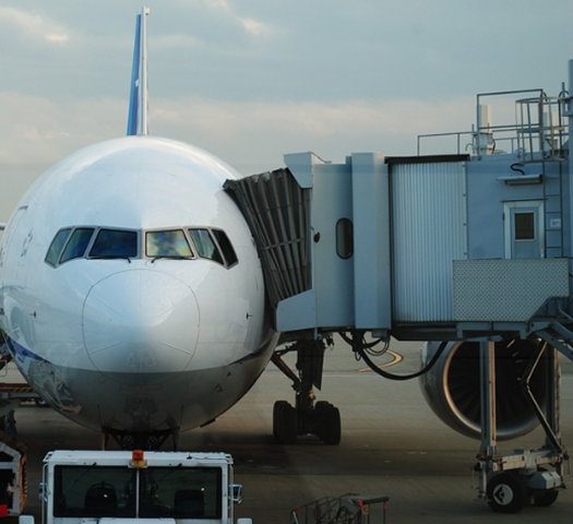 O primeiro problema foi o atraso na decolagem por causa de  uma troca de aeronave de última hora no aeroporto de Haneda, em Tóquio. -Imagem de Momota Sasaki por Pixabay 
