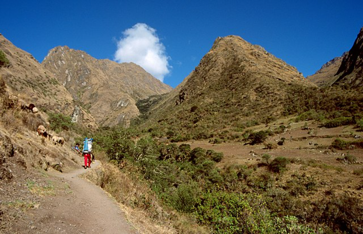 Machu Picchu fica a 2.400 metros de altitude, na Cordilheira dos Andes, no vale do rio Urubamba, no Peru.
