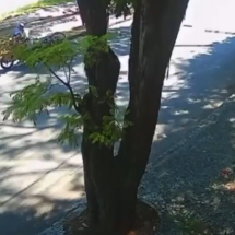 Vídeo: ciclista é roubada e agredida na orla da Pampulha 