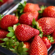 Exportação de frutas: um recorde ainda longe de ser expressivo - Freepik