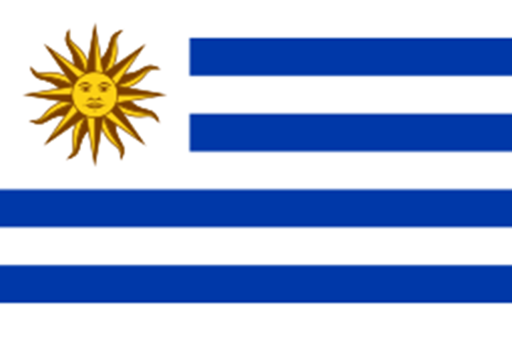 Pequeno na extensão territorial, o Uruguai tem riqueza cultural e pontos turísticos muito atraentes para os visitantes. Com fortes influências europeias e mestiças, o país fica localizado próximo à Pampa, região que integra a Argentina e o Rio Grande do Sul, no Brasil. 