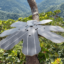 Como celulares velhos estão combatendo o desmatamento na Amazônia? - divulgação/rainforest connection