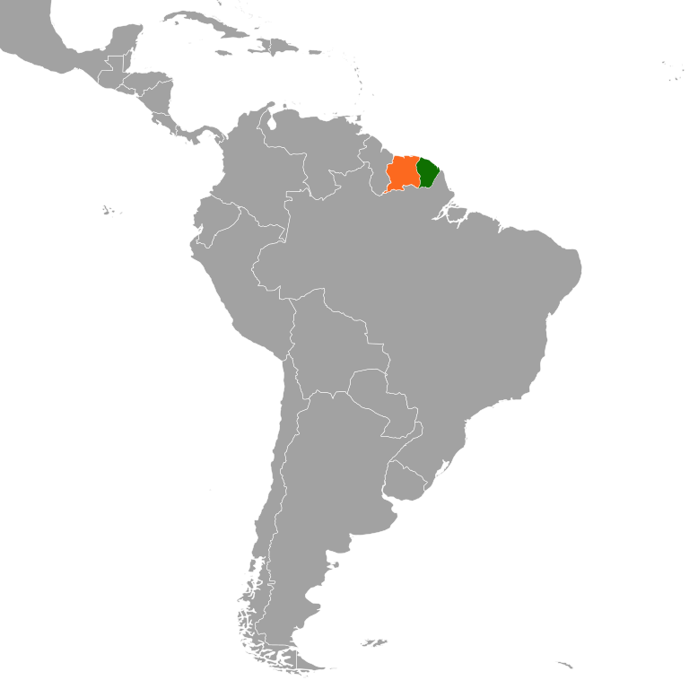 Um relatório publicado pelo Ministério das Relações Exteriores referente às comunidades brasileiras no exterior revelou que, no ano de 2022, a Guiana Francesa acomodava uma população de 91.500 cidadãos brasileiros. 