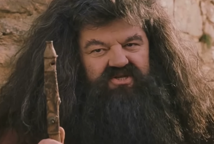 Rúbeo Hagrid é o Guardião das Chaves e dos Terrenos de Hogwarts. Ao longo da série, ele é conhecido sua paixão por criaturas mágicas e seu papel como mentor e amigo próximo de Harry, Ron e Hermione.