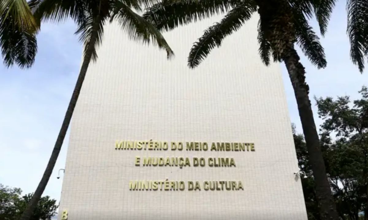 Nova plataforma facilitará a consulta pública aos dados da Lei Rouanet -  (crédito: Platobr Nacional)