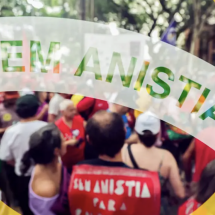 O discurso do governo para trabalhar contra a anistia na Câmara