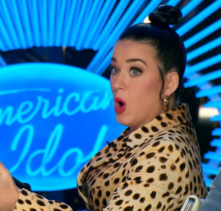 Além da carreira musical, Perry atuou como jurada no American Idol de 2018 até 2024 e é empreendedora, com investimentos em moda e fragrâncias.