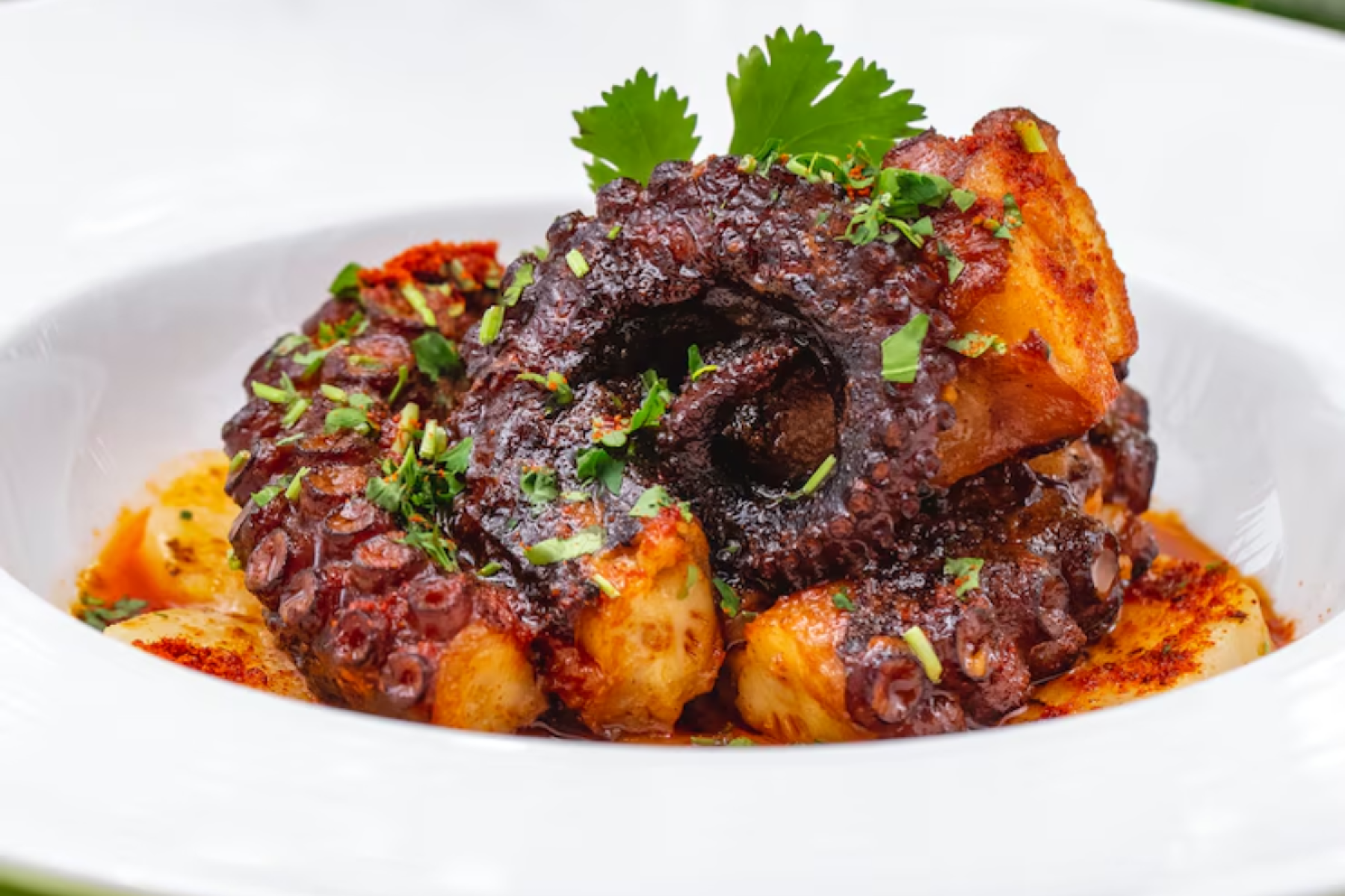 Pulpo a la Gallega: prato típico da Galícia, composto por polvo cozido servido sobre batatas, temperado com páprica, sal grosso e azeite de oliva. Simples, mas de sabor intenso, é presença constante em feiras e festivais.