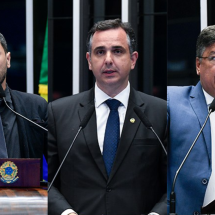 Senadores mineiros divergem sobre aumento de cadeiras na Câmara - Pedro França, Roque de Sá e Jefferson Rudy/Agência Senado
