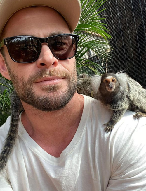 Hemsworth também é um grande defensor da preservação do meio ambiente e é embaixador do “Earth Hour”, um movimento mundial para a redução do consumo de energia elétrica.