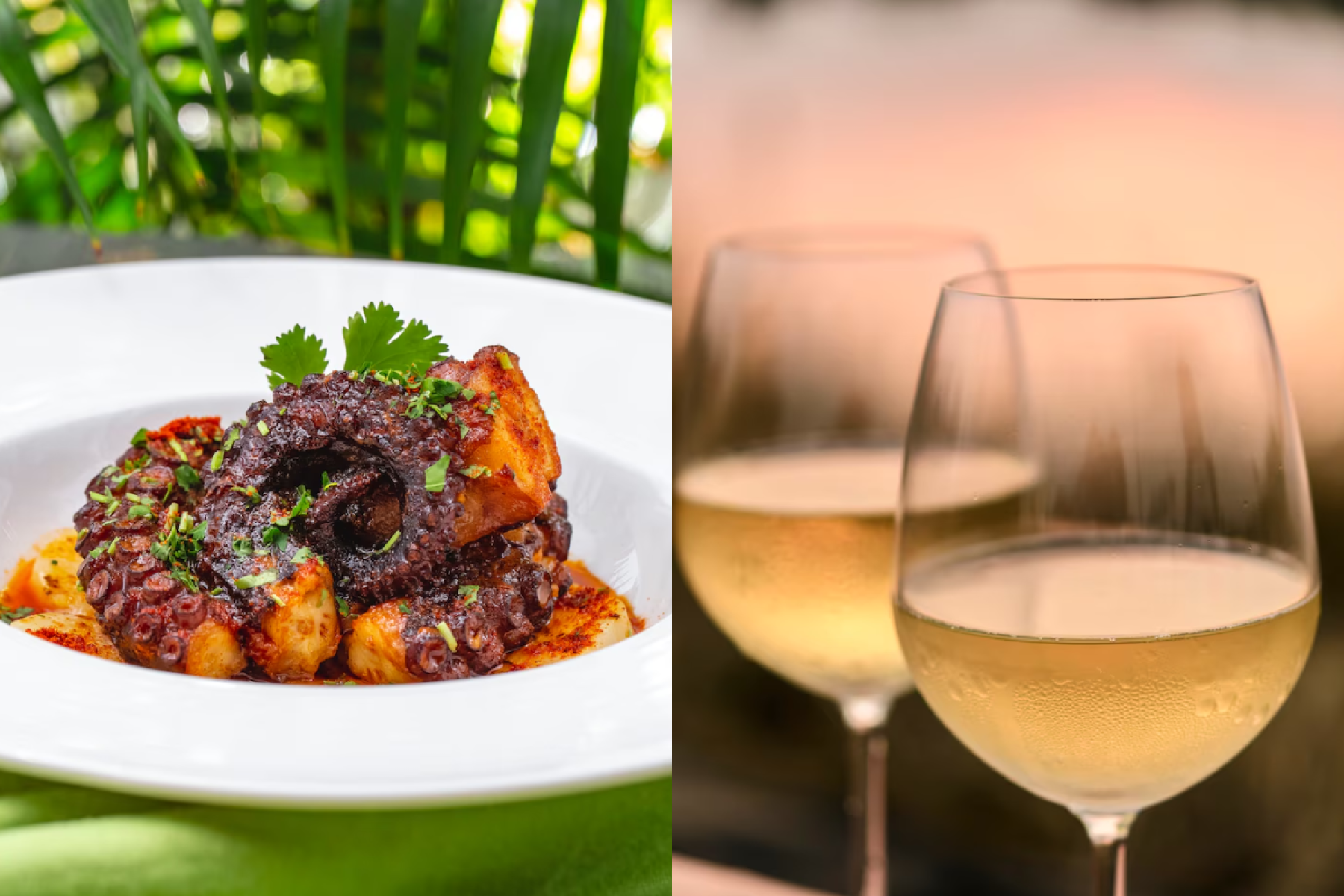 Vinho Albariño com polvo grelhado : a acidez cítrica e mineral do Albariño complementam a textura firme do polvo e realça os toques defumados da grelha.