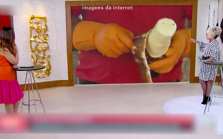 Além disso, ela seguiu com as piadas de duplo sentido. "O senhor está acostumado a descascar mandioca, então? A sua mandioca é mais parruda". A internet não perdoou, com Ana Maria Braga virando meme (mais uma vez).