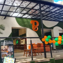 BH: PetCafé comemora quase 400 adoções de gatos com proposta inovadora - Divulgação/PetCafé