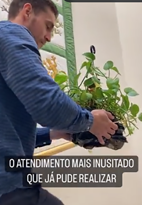 O assunto viralizou nas redes sociais a partir das postagens do profissional que prestou assistência ao inseto. Muita gente entrou na torcida pelo bichinho. 