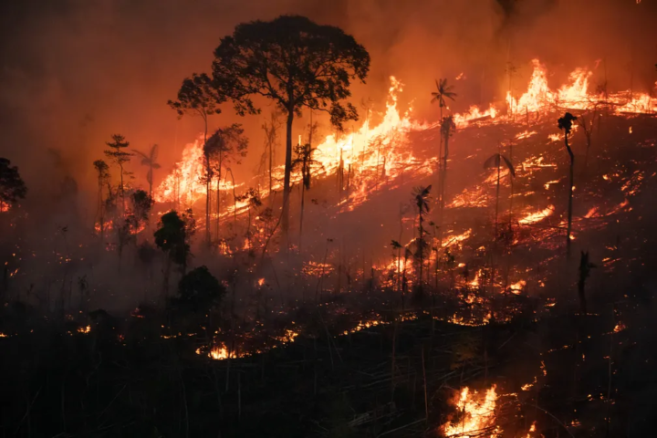 O medo constante de que os danos causados pelas atividades humanas ao planeta sejam irreversíveis é uma preocupação crescente. 
