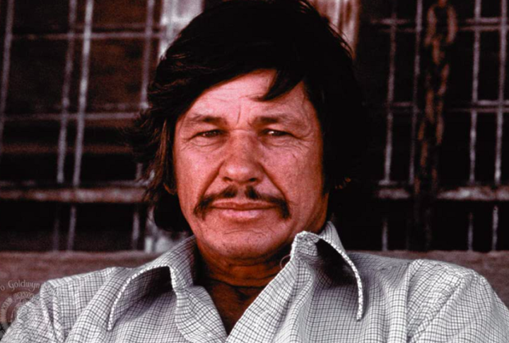 Ao longo da carreira, Bronson ganhou o apelido de “o homem de poucas palavras e muita ação”. O último papel de Bronson foi na pele do comissário de polícia Paul Fein, na trilogia de filmes para a TV “À Queima Roupa”: o primeiro em 1995 e o último em 1999.