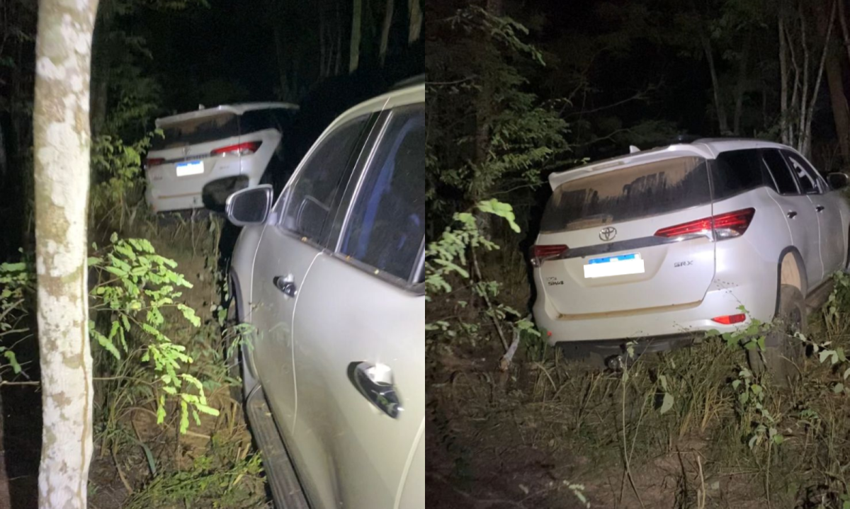 Os veículos foram entrados intactos e escondidos em área de mata -  (crédito: Divulgação/Polícia Militar)