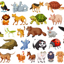 Curiosos extremos do mundo animal:  peculiaridades que impressionam - brgfx por freepik