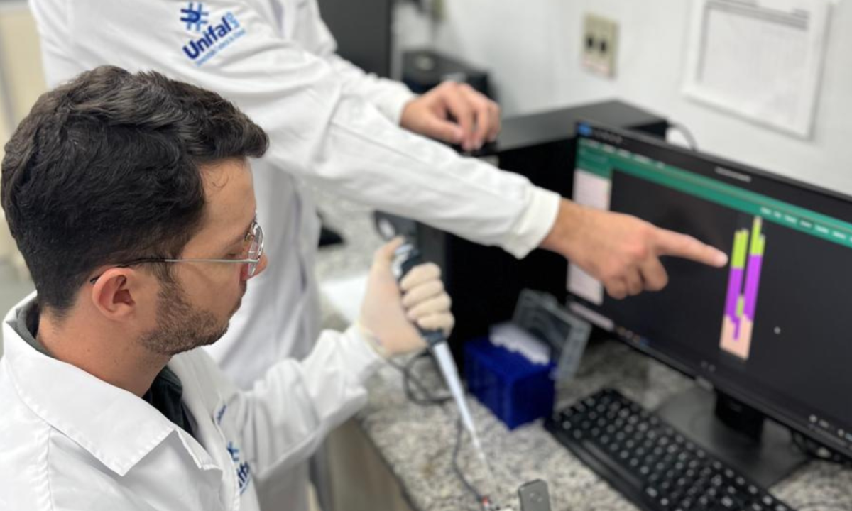 Pesquisadores da Unifal-MG publicam artigo em revista com proposta inovadora de vacina contra novo coronav&iacute;rus detectado em morcegos -  (crédito: Divulga&ccedil;&atilde;o)