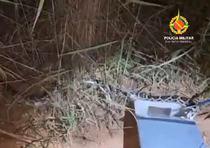 Em abril de 2022, uma equipe da PM Ambiental do Distrito Federal cometeu o mesmo equívoco:  soltou uma píton numa área de Cerrado após confundi-la com jiboia. Especialistas alertaram para o risco da soltura, pois o animal não tem predadores no Brasil. 
