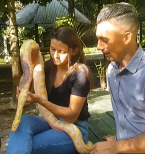 O veterinÃ¡rio Pedro Calazans postou um vÃ­deo no Instagram mostrando o animal e destacando que pessoas, hoje em dia, abandonam animais para que alguÃ©m cuide. "As pessoas fazem isso pra se livrar do problema", disse. 