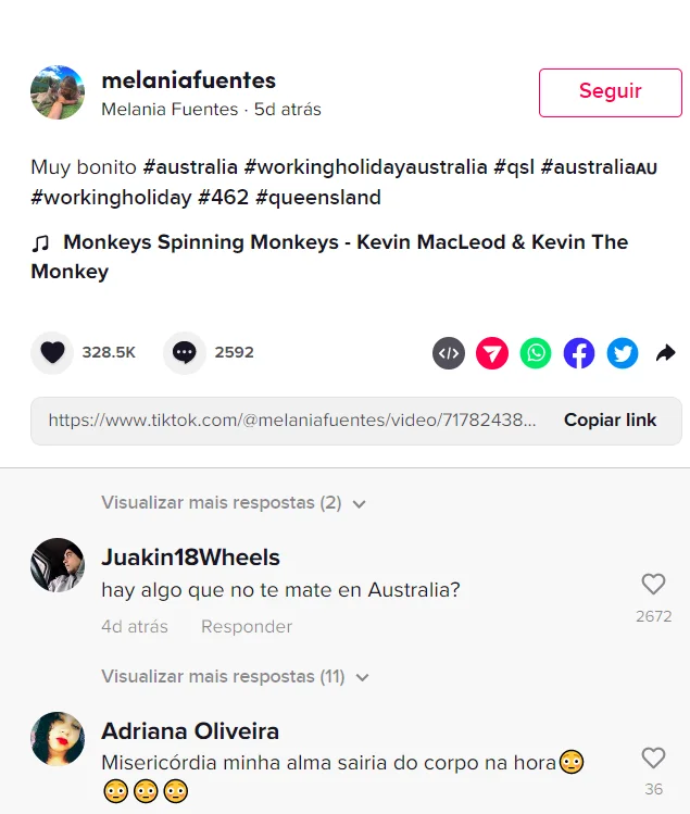O registro logo ganhou repercussão porque diversos internautas começaram a comentar no vídeo, dizendo que o animal não só não era inofensivo como se tratava de uma das aves mais perigosas do mundo!