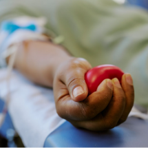Doar sangue exige cuidados e critérios específicos - DINO