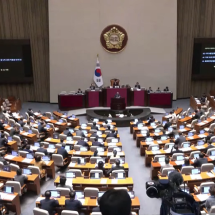 500 mil cães ficam vivos, mas sem destino, após lei que proibe carne de cachorro na Coreia do Sul - reprodução new york post
