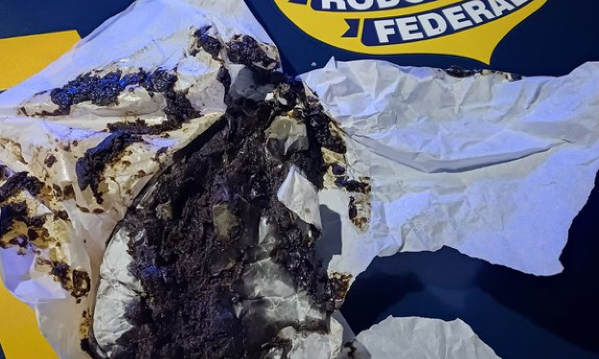 Popularmente conhecida como "maconha de playboy" substância é produzida a partir das inflorescências da maconha -  (crédito: PRF / Divulgação)