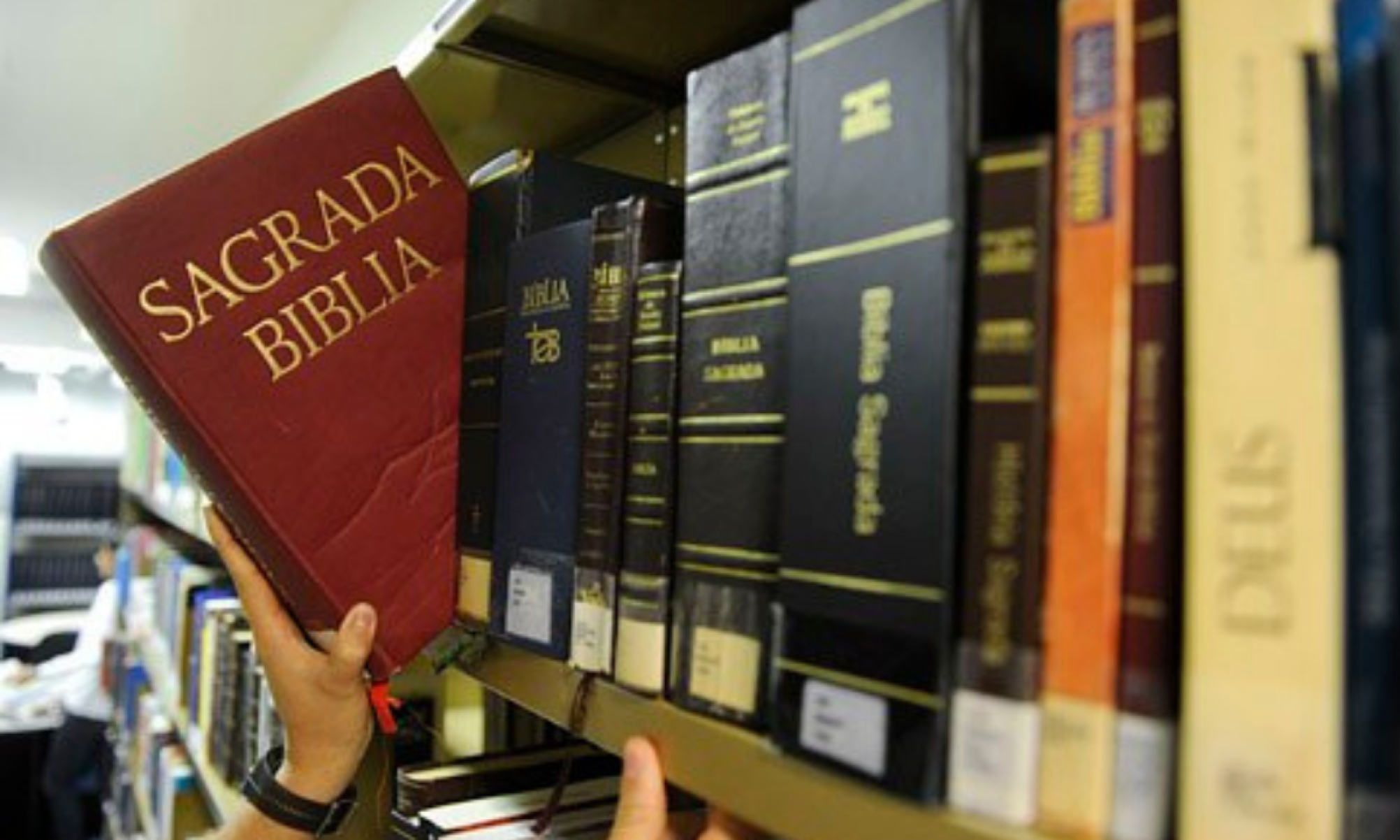 Bíblia nas escolas é aprovada em Divinópolis e vereador aciona MP -  (crédito: Marcus Oliveira/AgÃªncia Senado)