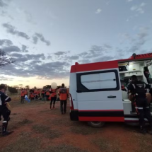 Grupo de Legendários é atacado por abelhas em Caldas Novas  - Divulgação/Secretaria de Comunicação de Caldas Novas