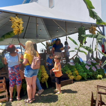 Festival da Banana celebra 16ª edição com gastronomia, cultura e esporte