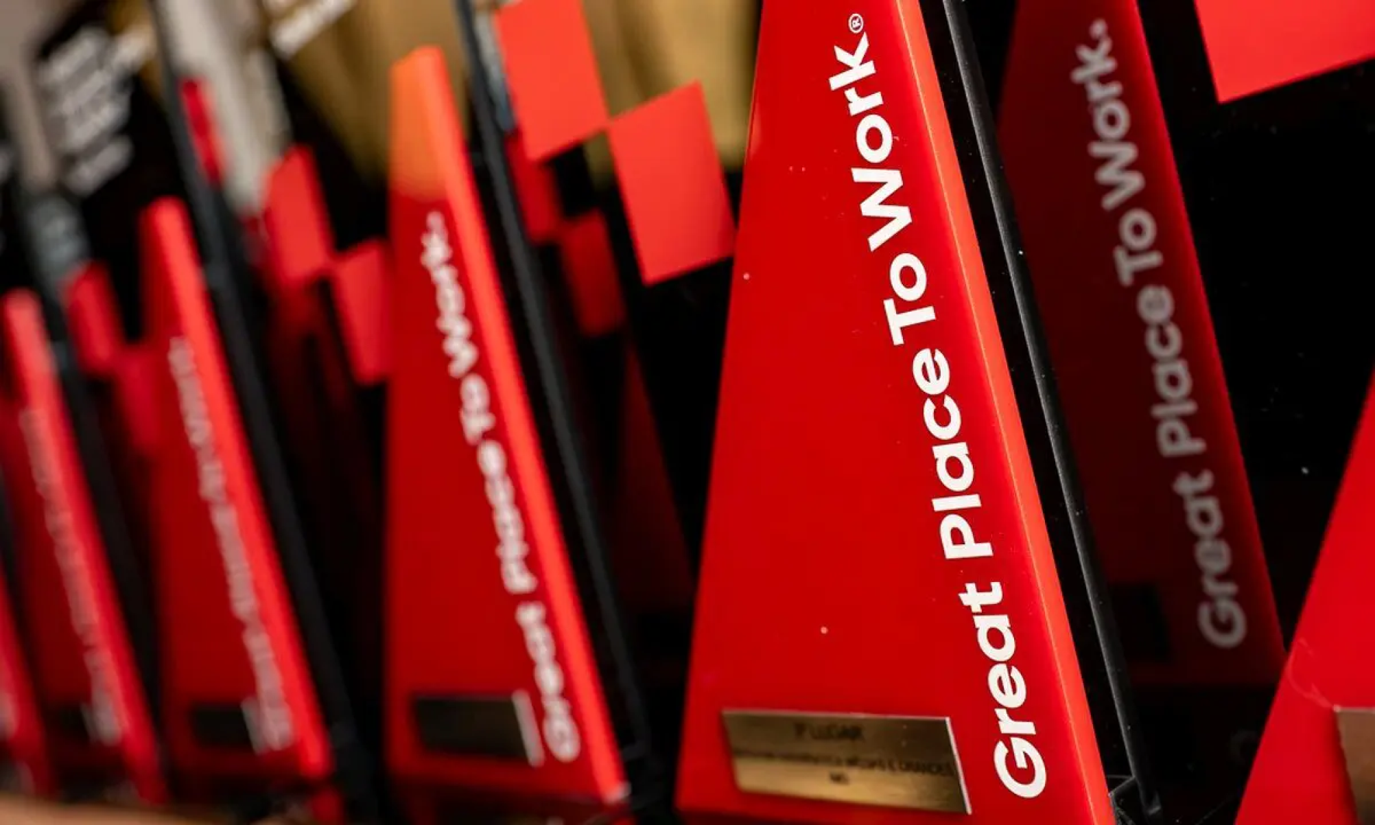 Great Place to Work: bancos vencedores investem em educação - DINO