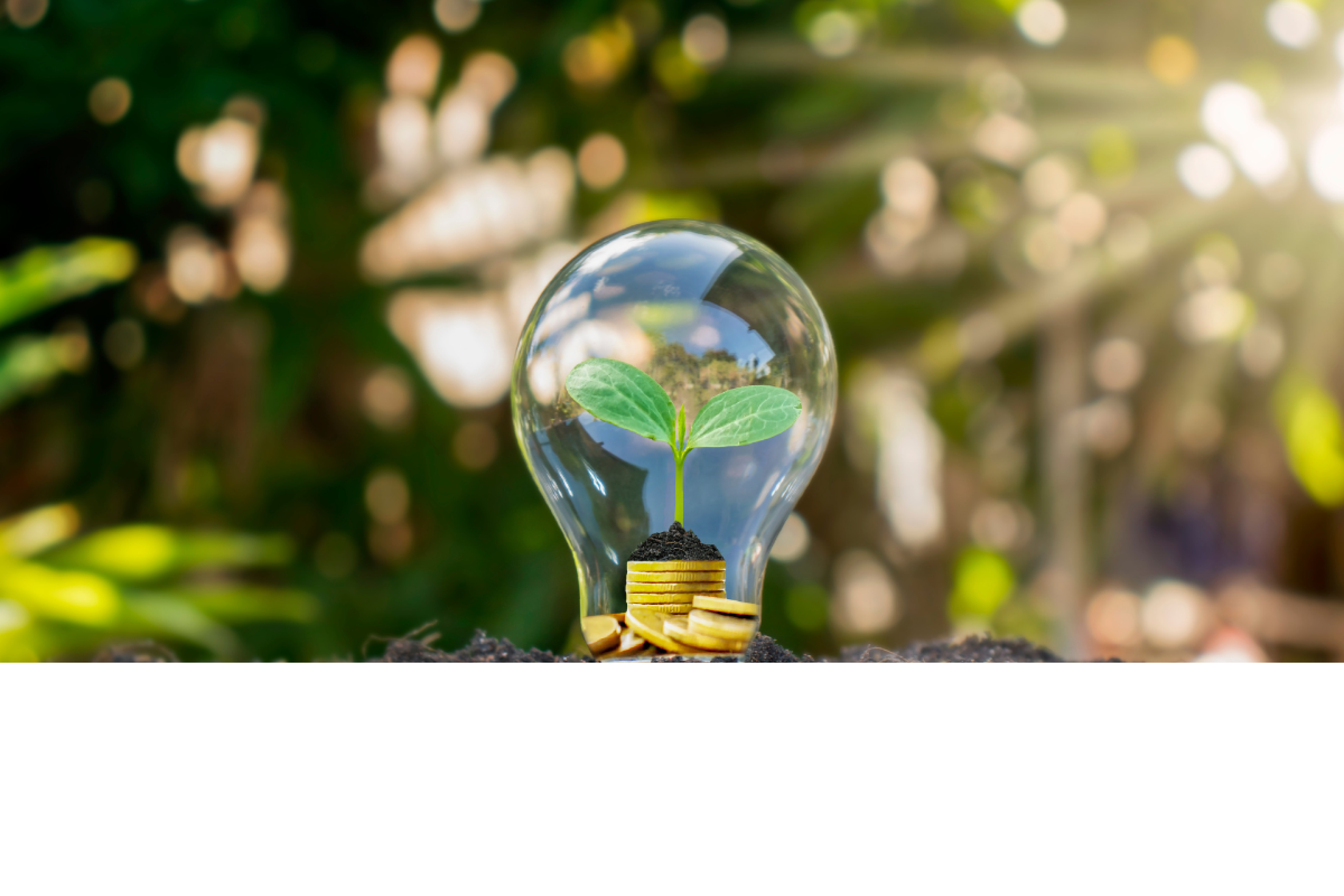Encontro Impactos Positivos 2025 terá foco em energia - DINO