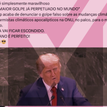 Aquecimento global é uma realidade, diferentemente do que alega Trump - Reprodução/Comprova