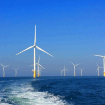 Governo critica jabutis em projeto das eólicas offshore, vitrine da COP30 - Platobr Economia