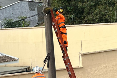 Ouriço sendo resgatado por militar do Corpo de Bombeiros -  (crédito: CBMMG/Reprodução)