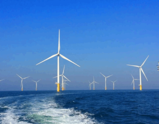 Governo critica jabutis em projeto das eólicas offshore, vitrine da COP30 -  (crédito: Platobr Economia)